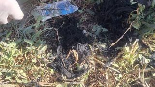 Задержано одно лицо по факту убийства в Мердзаване